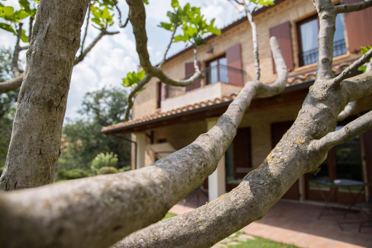 Casa Di Mi Bed & Breakfast Serrungarina Eksteriør bilde