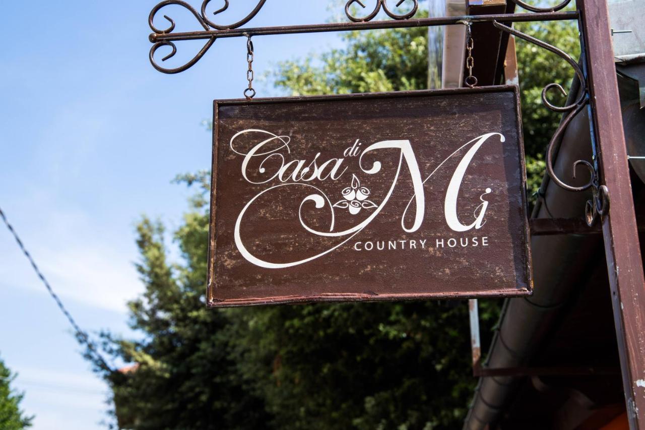 Casa Di Mi Bed & Breakfast Serrungarina Eksteriør bilde